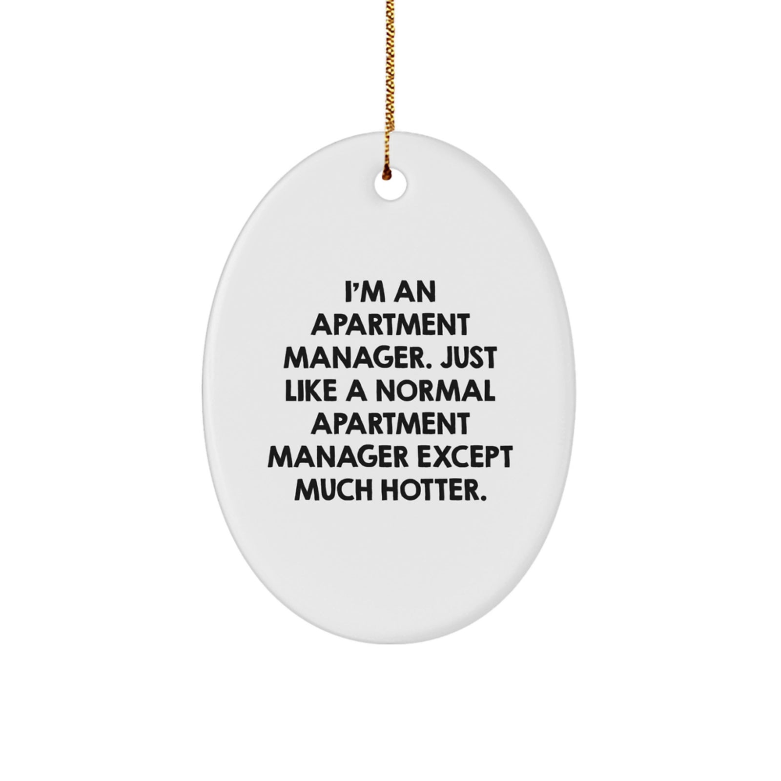 Funny Apartment Manager Oval Ornament Gifts from Men to Friends - Unique Christmas Decorations for Apartment Managers - Image 1