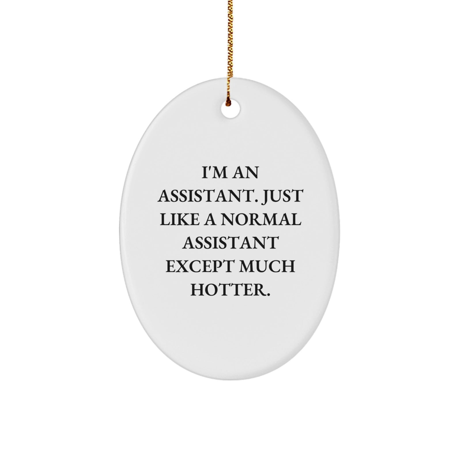 Funny Assistant Oval Ornament Gifts from Men, Women, or Friends for Assistant, Coworkers, or Family Members - Christmas Unique Ornaments - Image 1