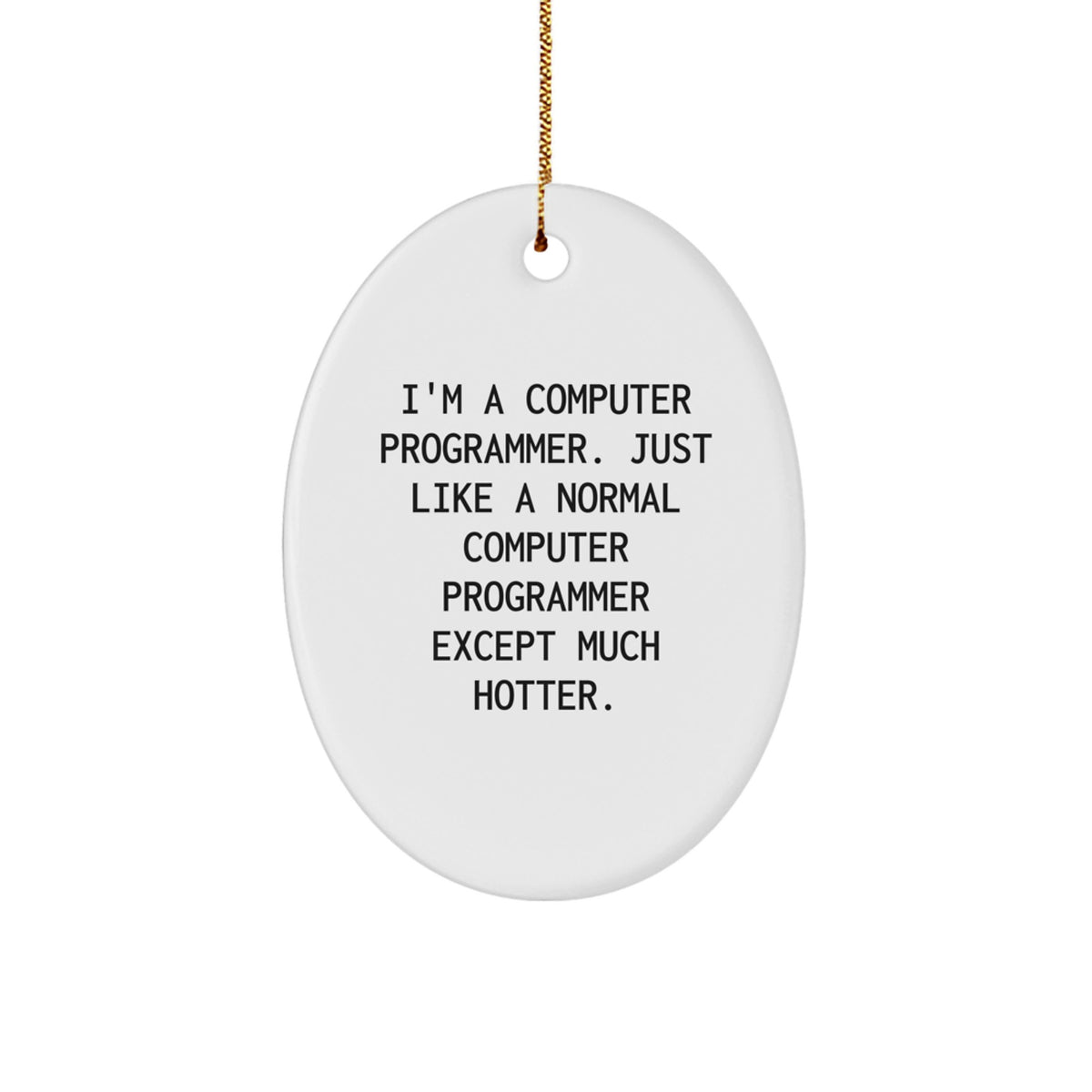 Funny Computer Programmer Christmas Unique Gifts from Friends - Oval Ornament for Men, Women, Family - Hotter Programmer Humor - Image 1