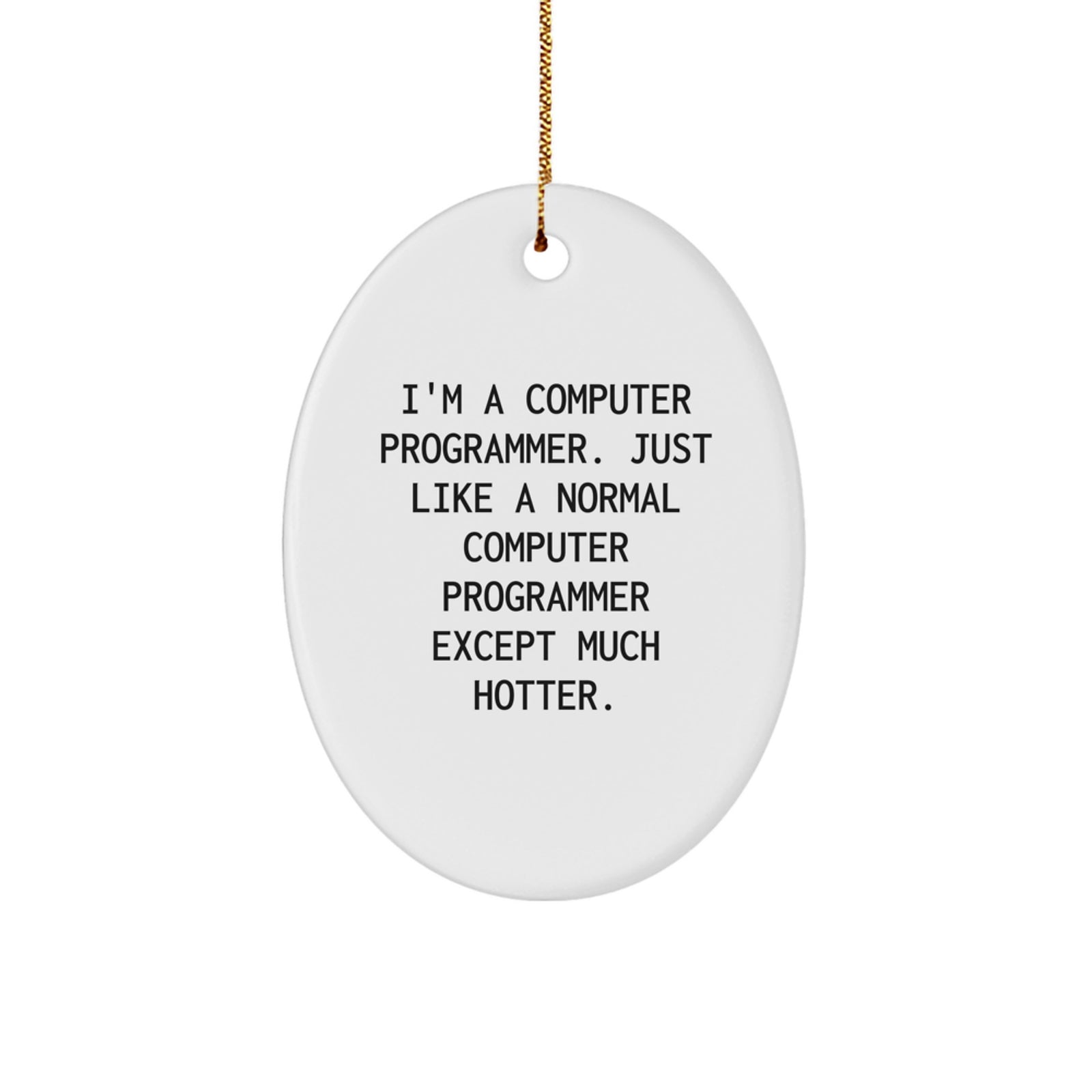 Funny Computer Programmer Christmas Unique Gifts from Friends - Oval Ornament for Men, Women, Family - Hotter Programmer Humor - Image 1