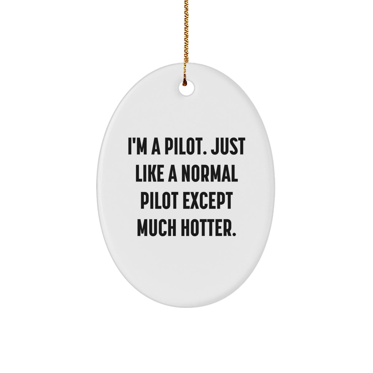 Funny Pilot Oval Ornament Gifts from Men to Friends - I'm A Pilot. Just Like A Normal Pilot Except Much Hotter. Christmas Unique Gifts - Image 1