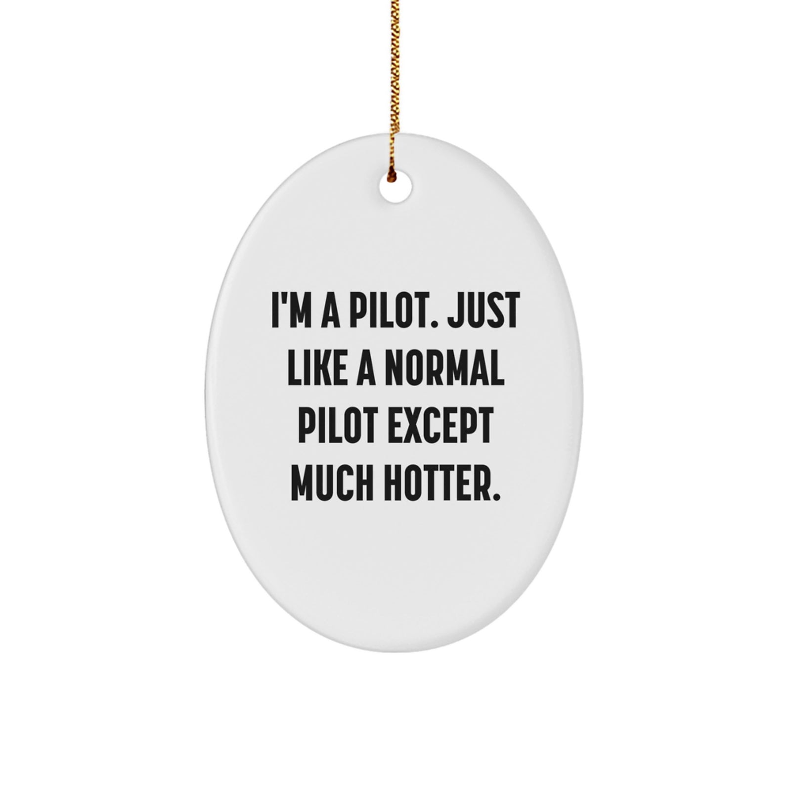 Funny Pilot Oval Ornament Gifts from Men to Friends - I'm A Pilot. Just Like A Normal Pilot Except Much Hotter. Christmas Unique Gifts - Image 1