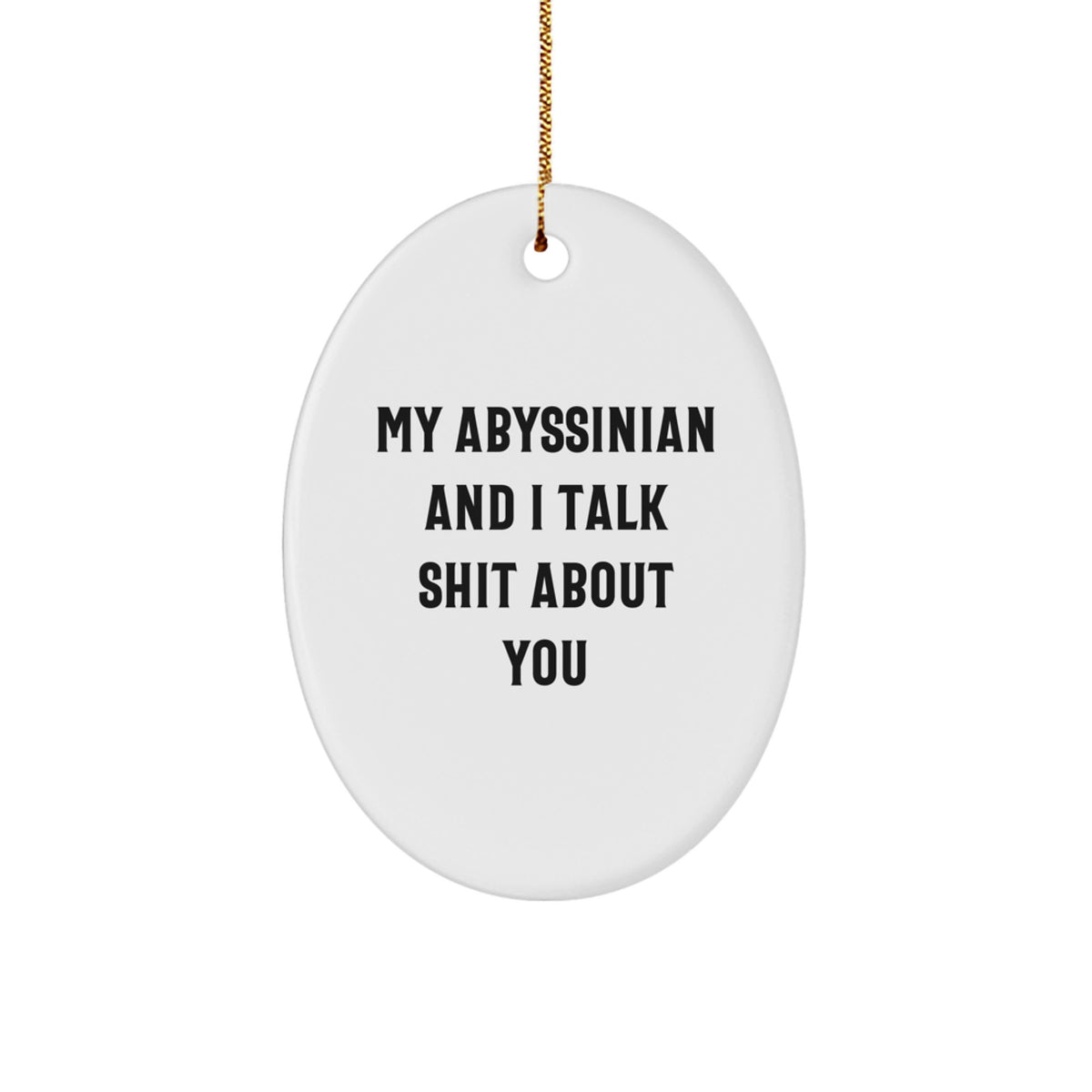 Funny Abyssinian Cat Gifts from Men for Women, Christmas Unique Ornaments Oval, 'My Abyssinian And I Talk Shit About You' Decor - Image 1