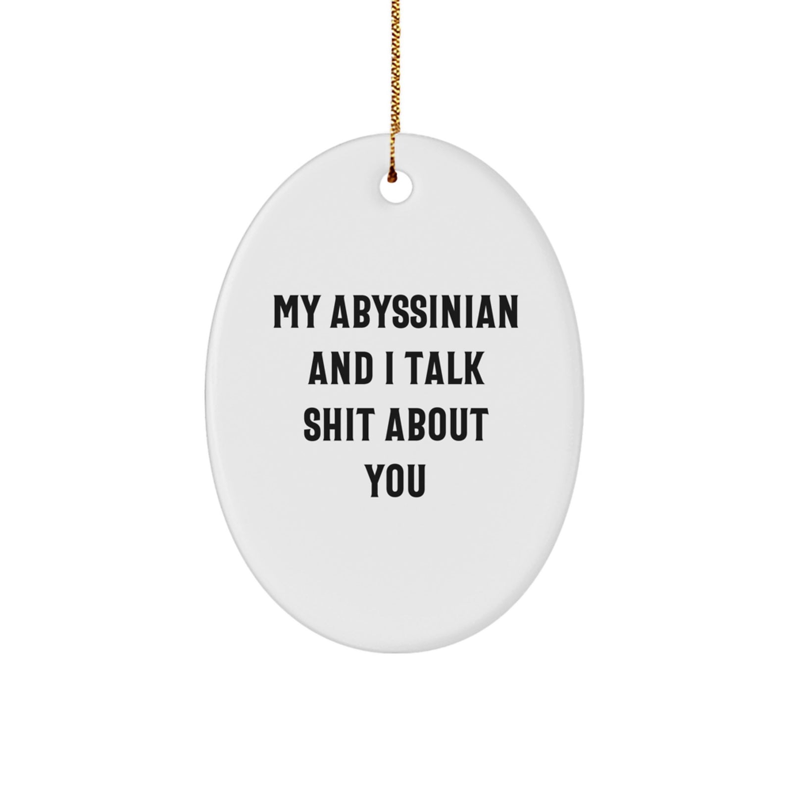 Funny Abyssinian Cat Gifts from Men for Women, Christmas Unique Ornaments Oval, 'My Abyssinian And I Talk Shit About You' Decor - Image 1