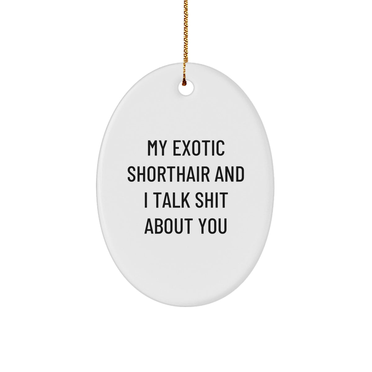 Funny Exotic Shorthair Cat Gifts, Oval Ornament for Christmas, 'My Exotic Shorthair And I Talk Shit About You' Quote, Unique Cat Lover Decor - Image 1
