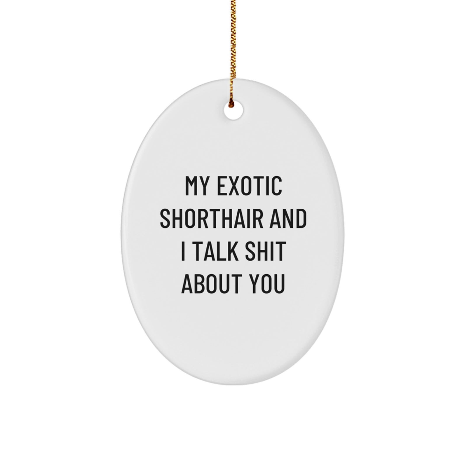 Funny Exotic Shorthair Cat Gifts, Oval Ornament for Christmas, 'My Exotic Shorthair And I Talk Shit About You' Quote, Unique Cat Lover Decor - Image 1