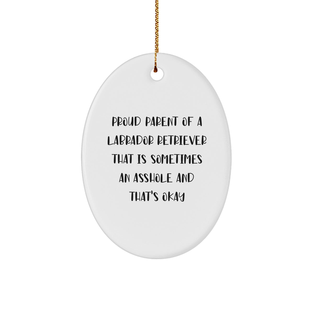 Funny Labrador Retriever Dog Gifts from Mom to Friends, Oval Ornament for Christmas Unique Gifts - Proud Parent of a Labrador Retriever That's Okay - Image 1