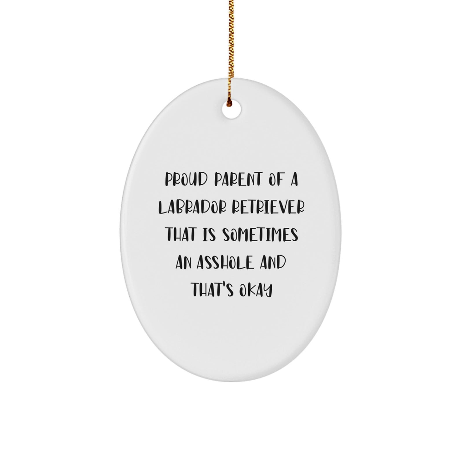 Funny Labrador Retriever Dog Gifts from Mom to Friends, Oval Ornament for Christmas Unique Gifts - Proud Parent of a Labrador Retriever That's Okay - Image 1