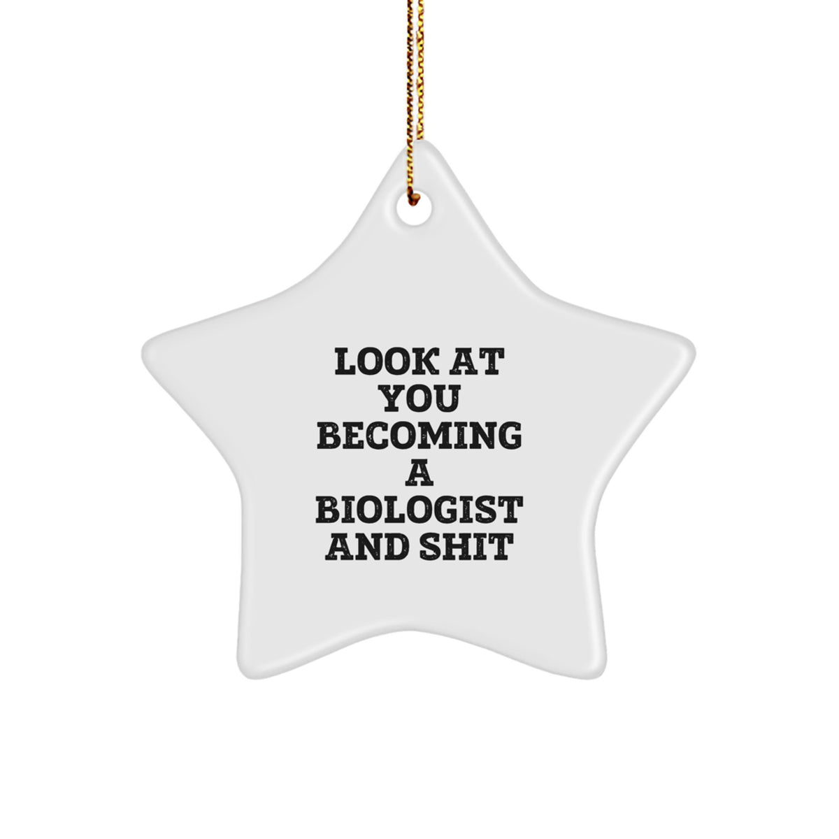 Christmas Gift Sassy Biologist Star Ornament for Teens - Look At You - Image 1
