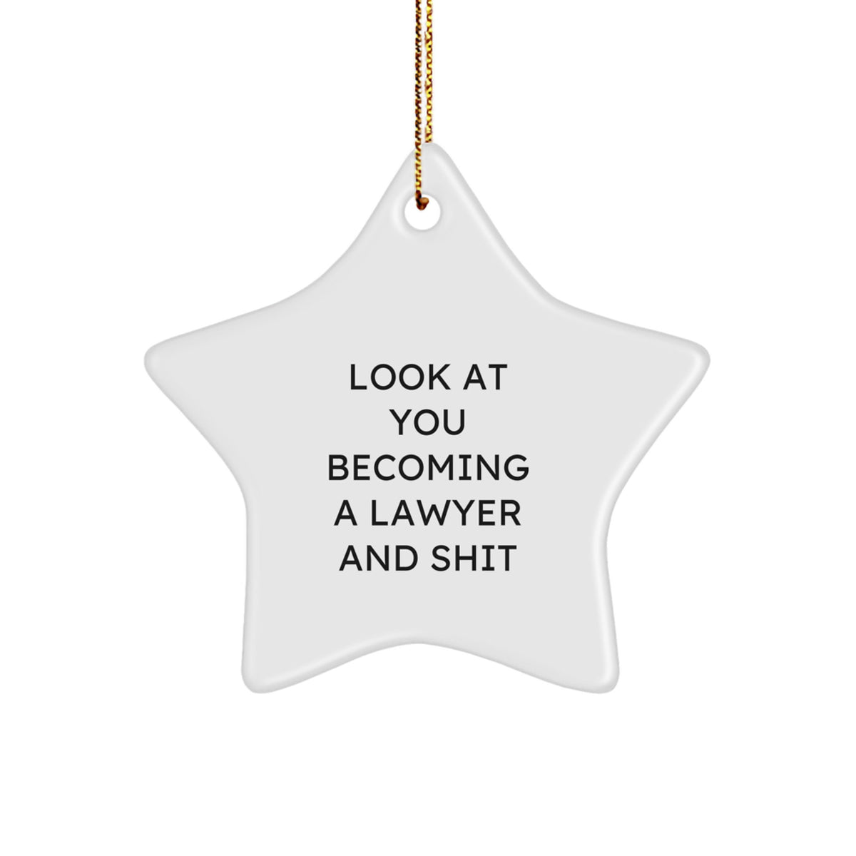 Christmas Ornament Gift for Family Lawyer Star Ornament - Look At You - Image 1
