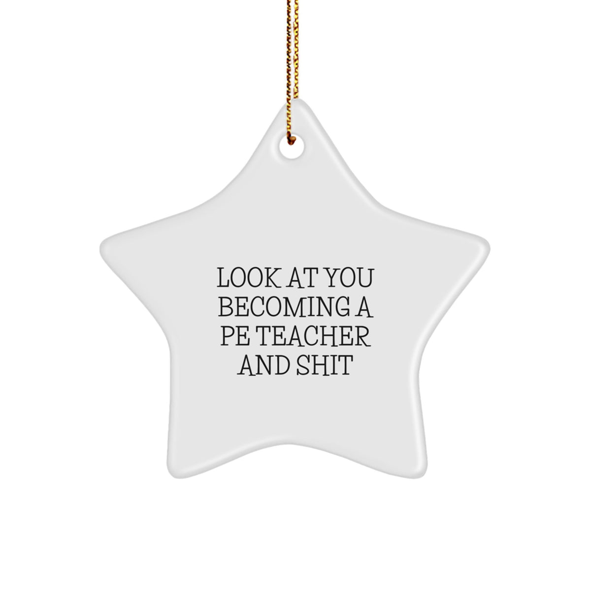 Star Christmas Ornament Gift for Coworkers - PE Teacher, Look At You And - Image 1