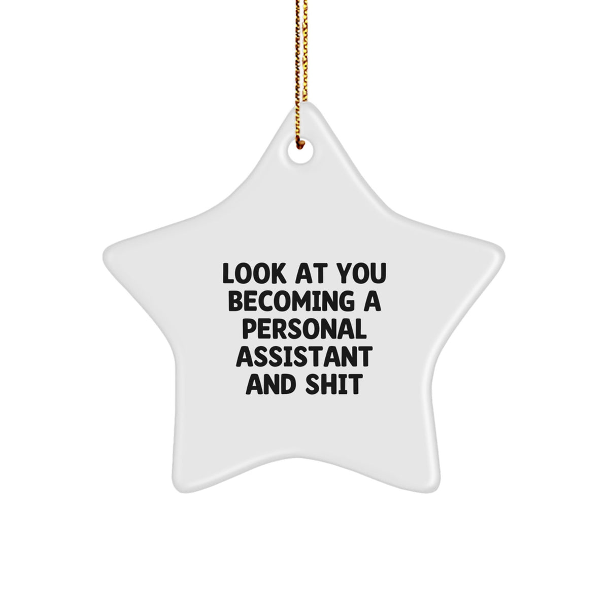 Christmas Ornament Gift Funny Personal Assistant Star Keepsake for Kids - Image 1