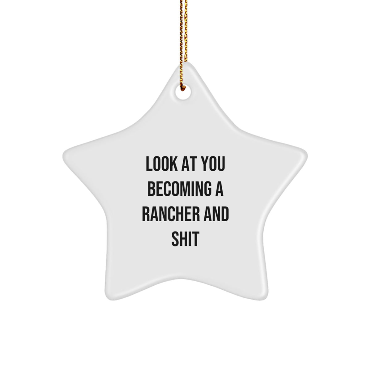 Rancher Gifts from Friends or Family - Star Ornament with Funny Quote - White Star Shaped Decor for Men or Women, Christmas Unique Gifts - Image 1