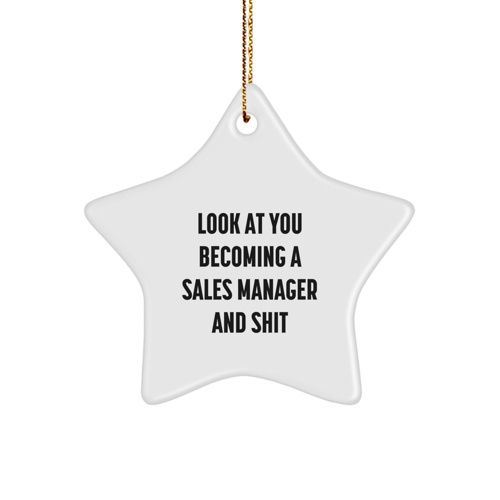 Funny Sales Manager Star Ornament Gifts from Mom for Dad, Christmas Unique Gifts for Sales Manager Woman, Star Ornament for Sales Manager Friends Gifts - Image 1