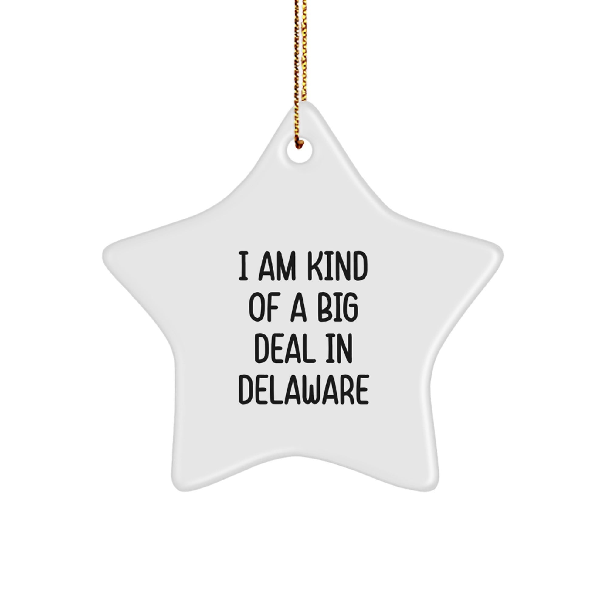 Delaware Star Ornament, Funny Gift for Friends, Family, or Coworkers from Delaware, Star Shaped, White Color, Christmas Unique Gifts, Gifts for Delaware - Image 1
