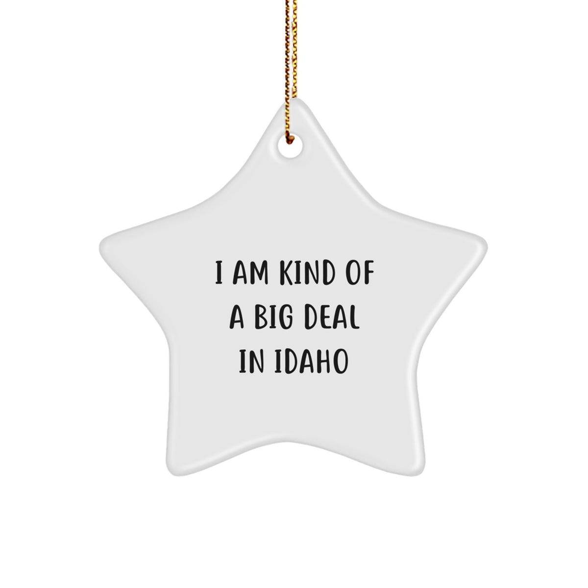 Funny Idaho Star Ornament Gifts from Friends, Gifts for Idaho Men, Christmas Unique Star Ornaments - Image 1