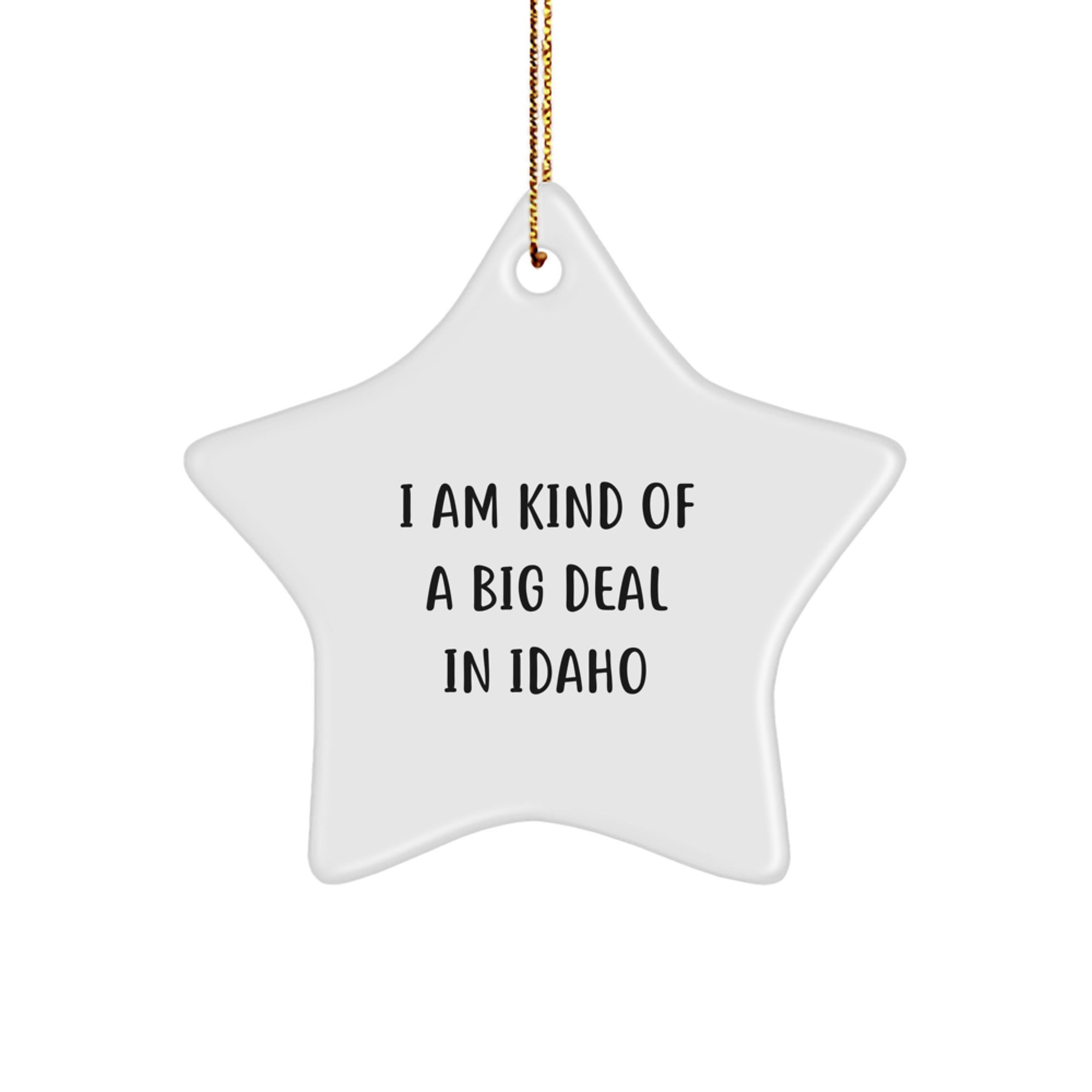 Funny Idaho Star Ornament Gifts from Friends, Gifts for Idaho Men, Christmas Unique Star Ornaments - Image 1