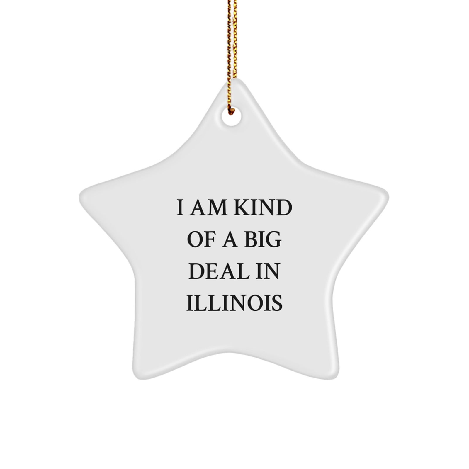 Funny Illinois Star Ornament, I Am Kind Of A Prime Selection Gifts for Illinois Men, Women, Friends and Family, Christmas Decorations - Image 1