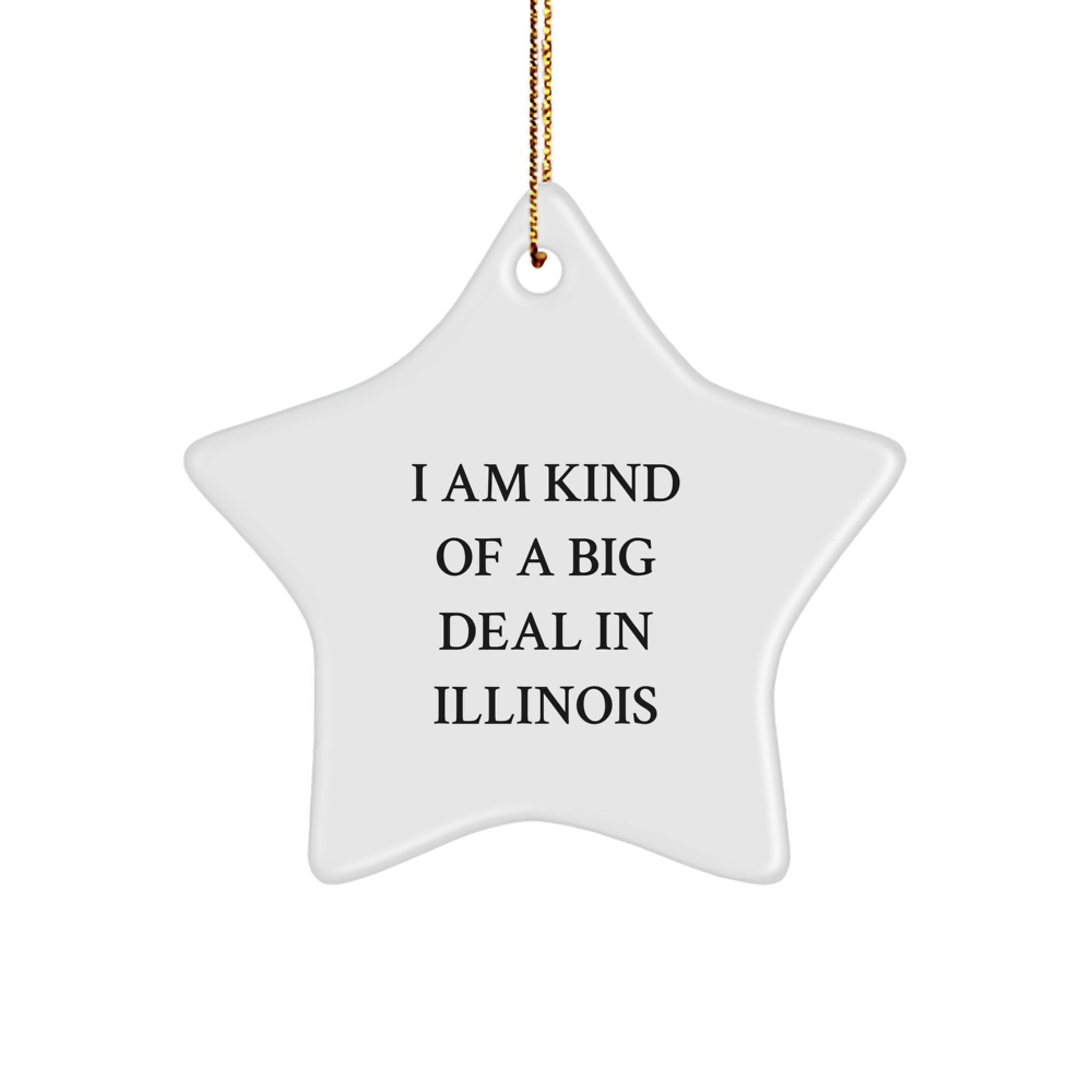 Funny Illinois Star Ornament, I Am Kind Of A Prime Selection Gifts for Illinois Men, Women, Friends and Family, Christmas Decorations - Image 1