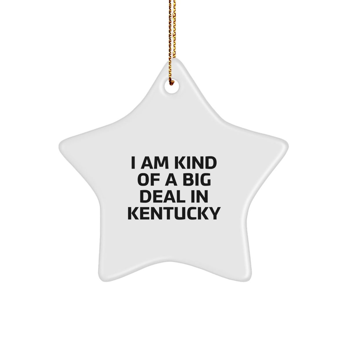 Kentucky Star Ornament Funny Gift from Friends for Christmas Decorations - I Am Kind Of A Prime Selection In Kentucky Gifts for Men Women Family - Image 1