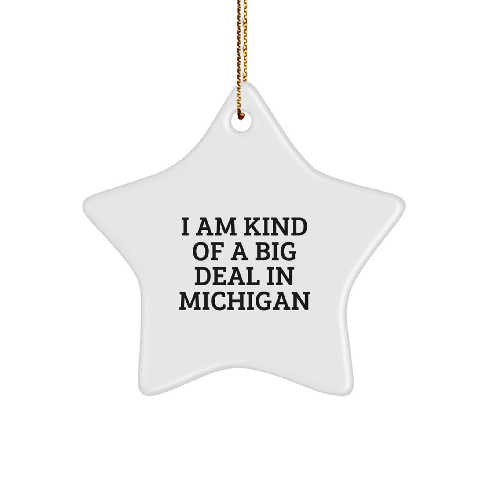 Michigan Star Ornament Gift from 'I Am Kind Of A Prime Selection In Michigan' Funny Quote Christmas Decorations for Men Women Friends Family - Image 1