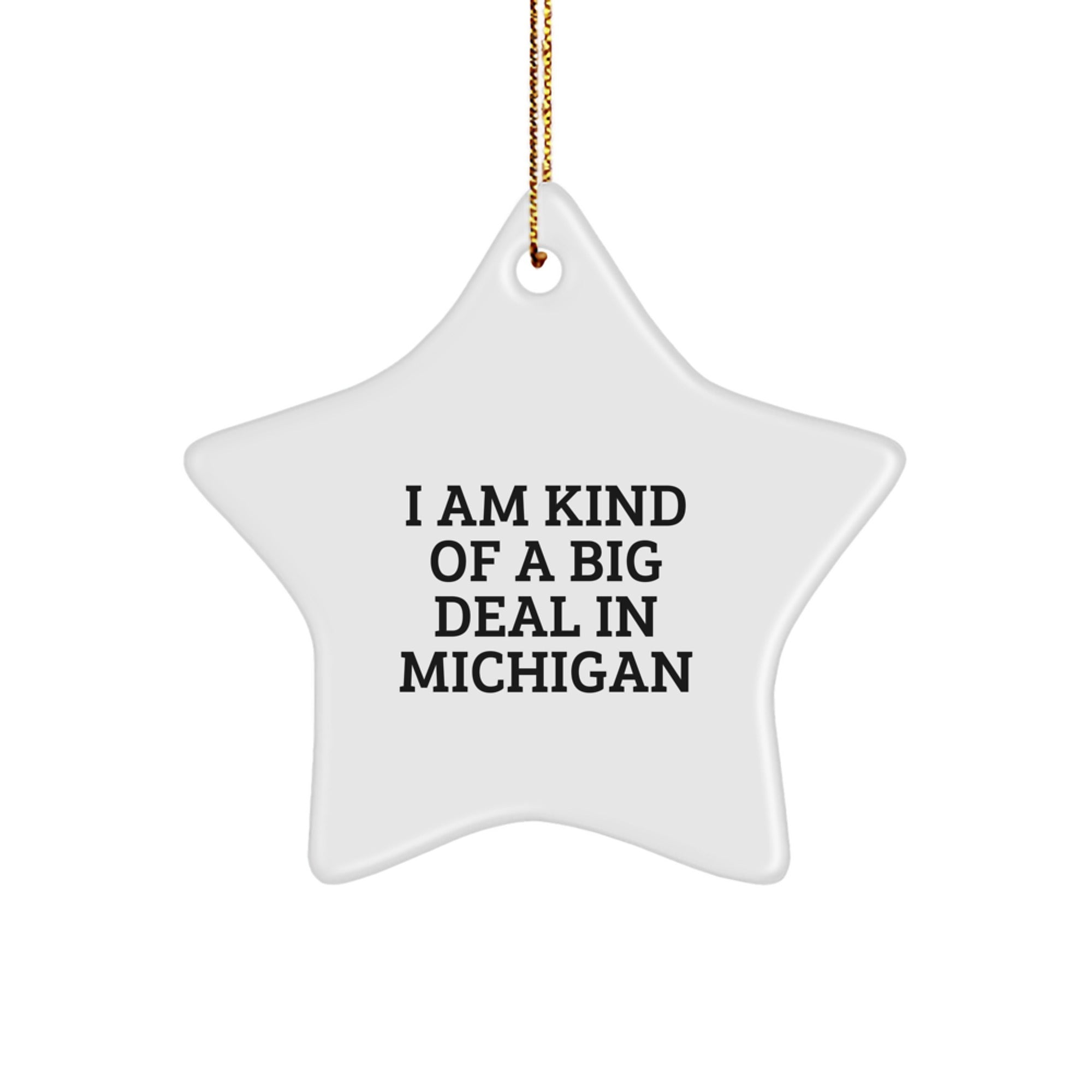 Michigan Star Ornament Gift from 'I Am Kind Of A Prime Selection In Michigan' Funny Quote Christmas Decorations for Men Women Friends Family - Image 1