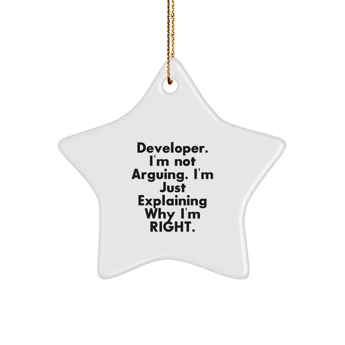 Funny Developer Star Ornament, Gift from Friends, for Developer Men, Christmas Unique Gifts - Image 1