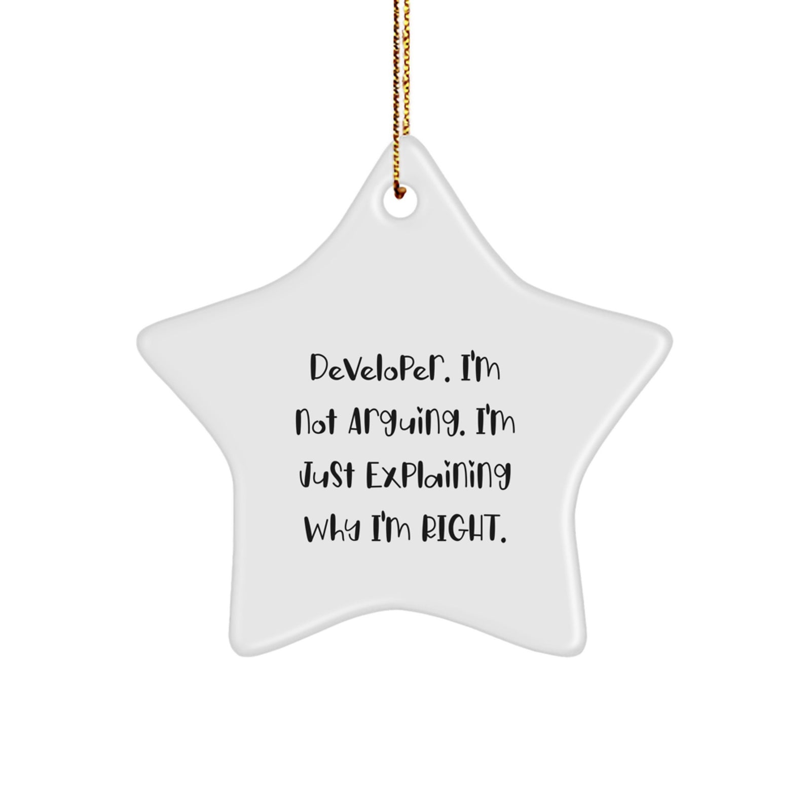 Funny Developer Star Ornament Gifts from Men to Friends and Family for Christmas Unique Presents - Image 1
