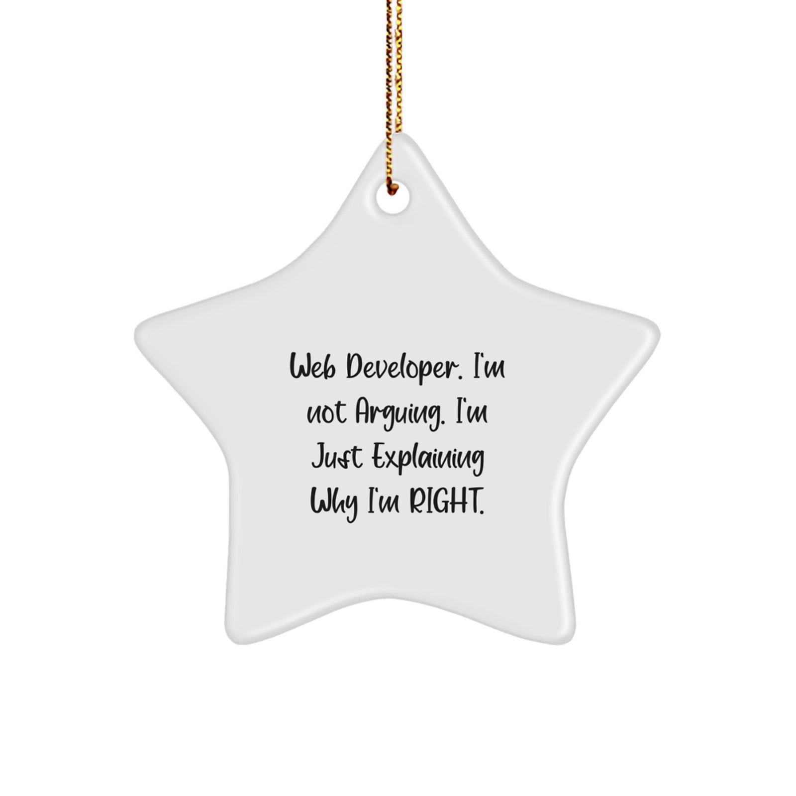 Funny Web Developer Star Ornament, Inspirational Gift for Friends and Coworkers, Web Developer Gifts from Men - Image 1