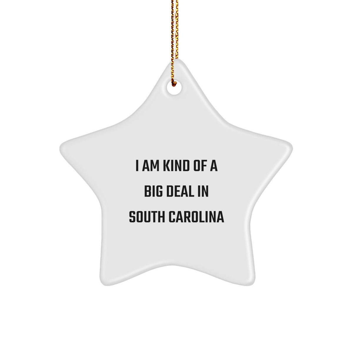 Funny South Carolina Gifts from Friends, Star Ornament Unique Christmas Unique Gifts for South Carolina Men, Women, Family - Image 1