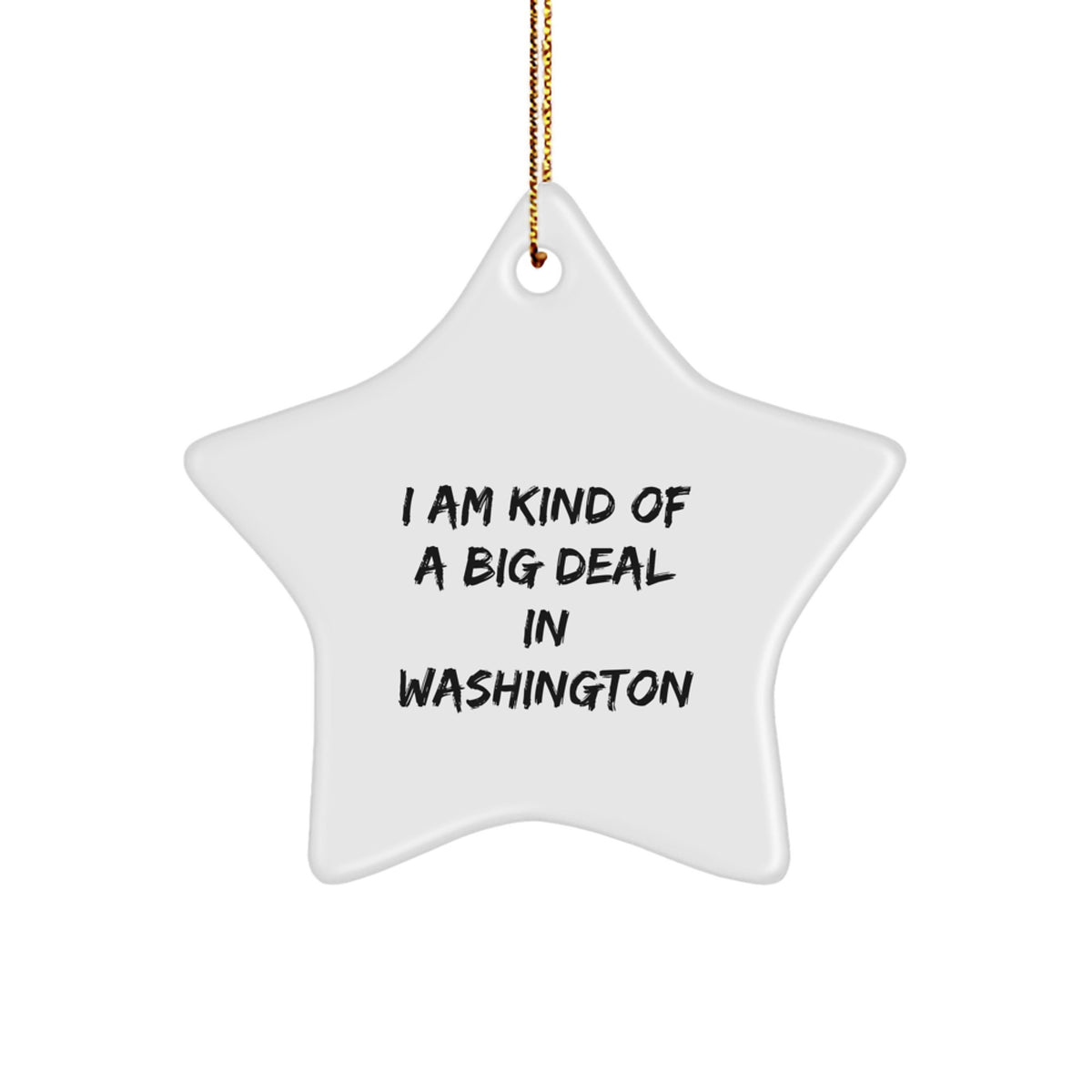Washington Star Ornament Funny Gift I Am Kind Of A Prime Selection In Washington for Friends and Family Christmas Unique Presents - Image 1