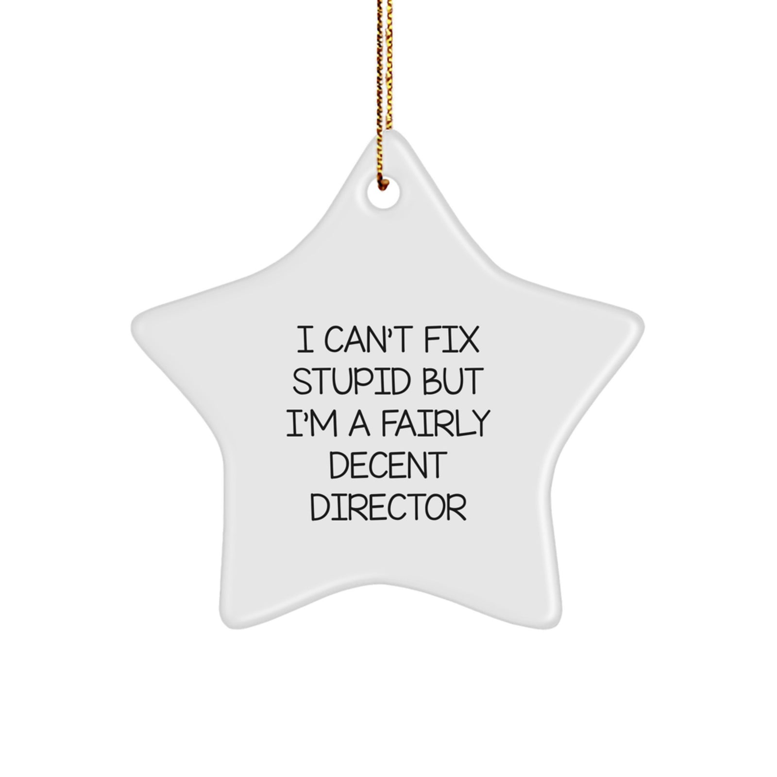 Funny Director Star Ornament - Gifts from Friends to Funny Director, Christmas Unique Gift for Director, Star Ornament with Quote I Can't Fix Stupid But I'm A Fairly Decent Director - Image 1