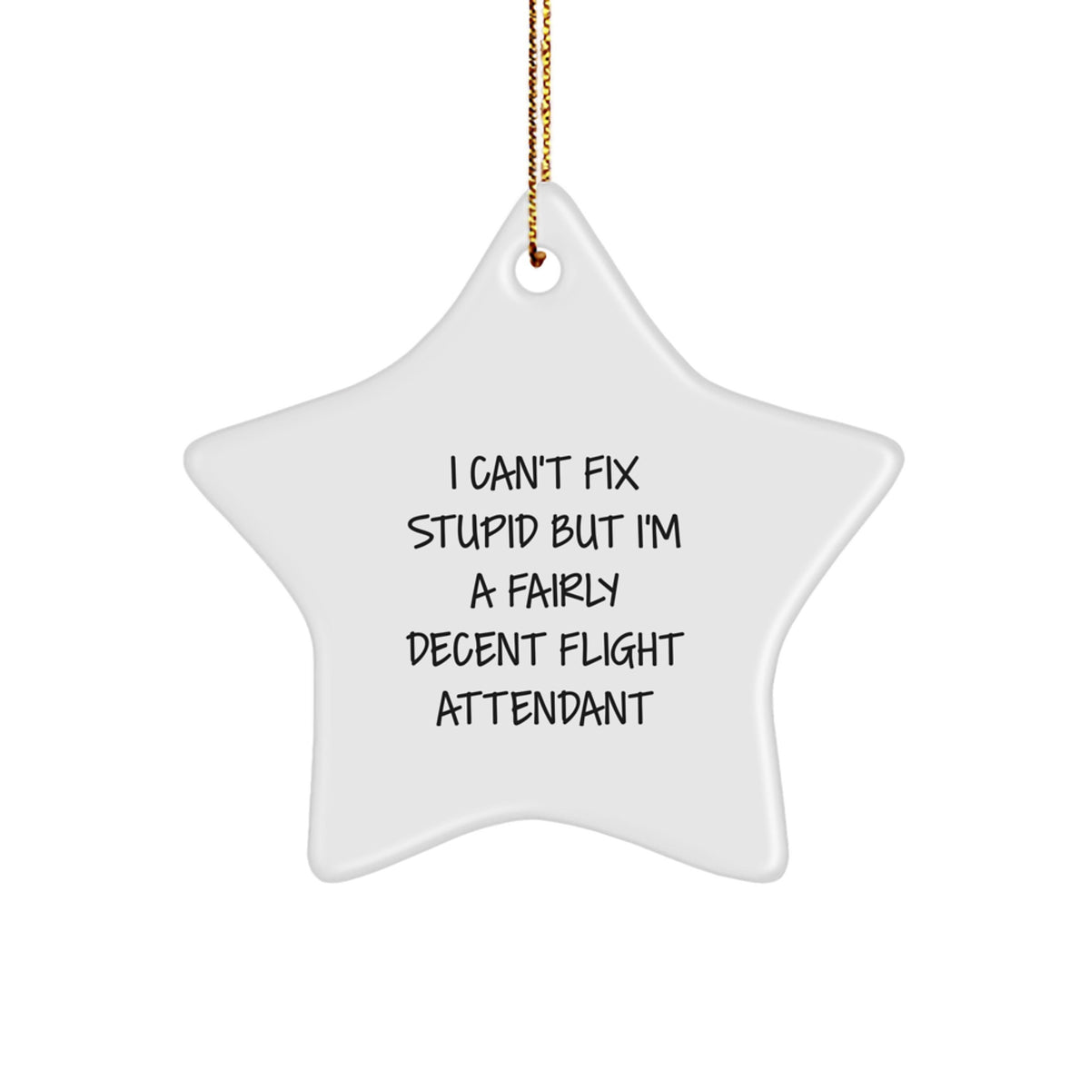 Funny Flight Attendant Gifts from Friends, Unique Star Ornament for Flight Attendants, I'm A Fairly Decent Crew Member Christmas Unique Gifts - Image 1