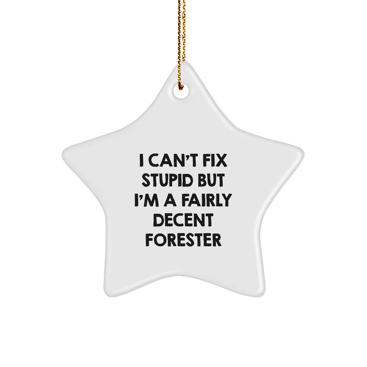 Funny Forester Star Ornament Gifts from Family for Men at Christmas - Image 1
