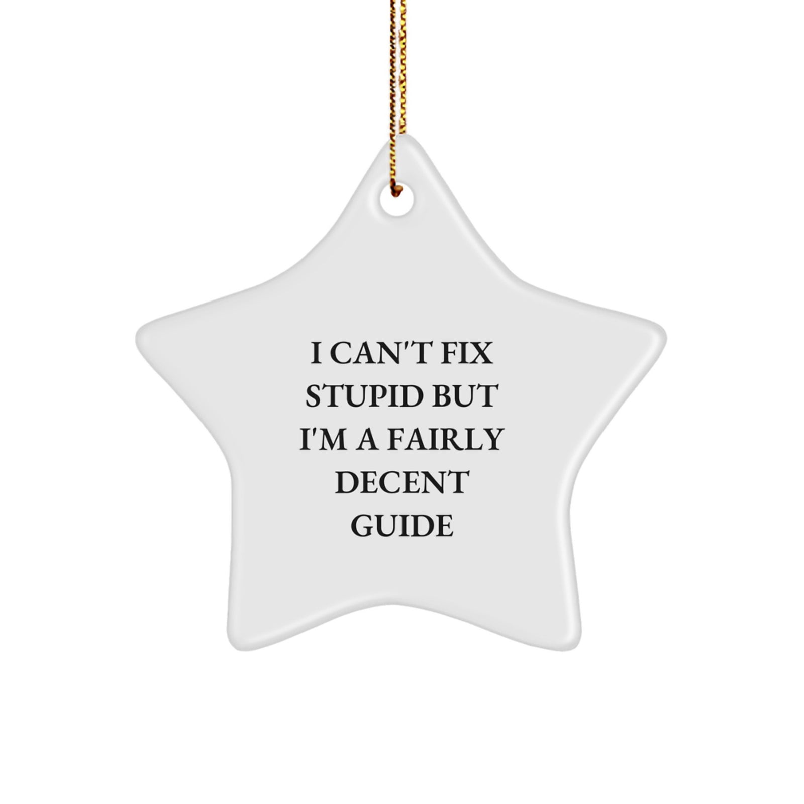 Funny Guide Gifts from Men to Guide Lovers, Star Ornament for Christmas Unique Gifts, 'I Can't Fix Stupid But I'm A Fairly Decent Guide' Star Shaped - Image 1