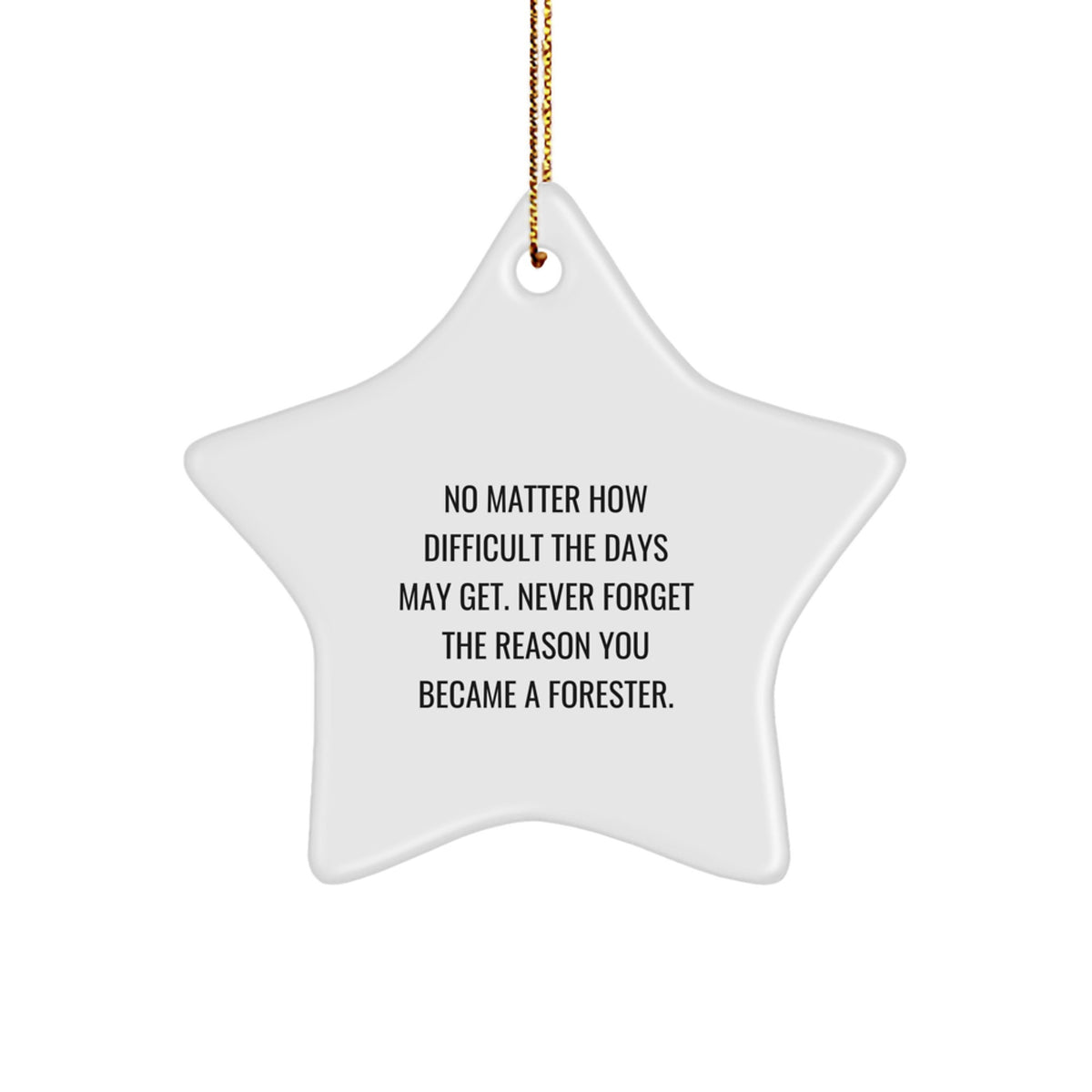 Funny Forester Gifts for Men, Star Ornament Inspirational Quote, Gifts from Family to Forester, Christmas Unique Gifts for Forester - Image 1
