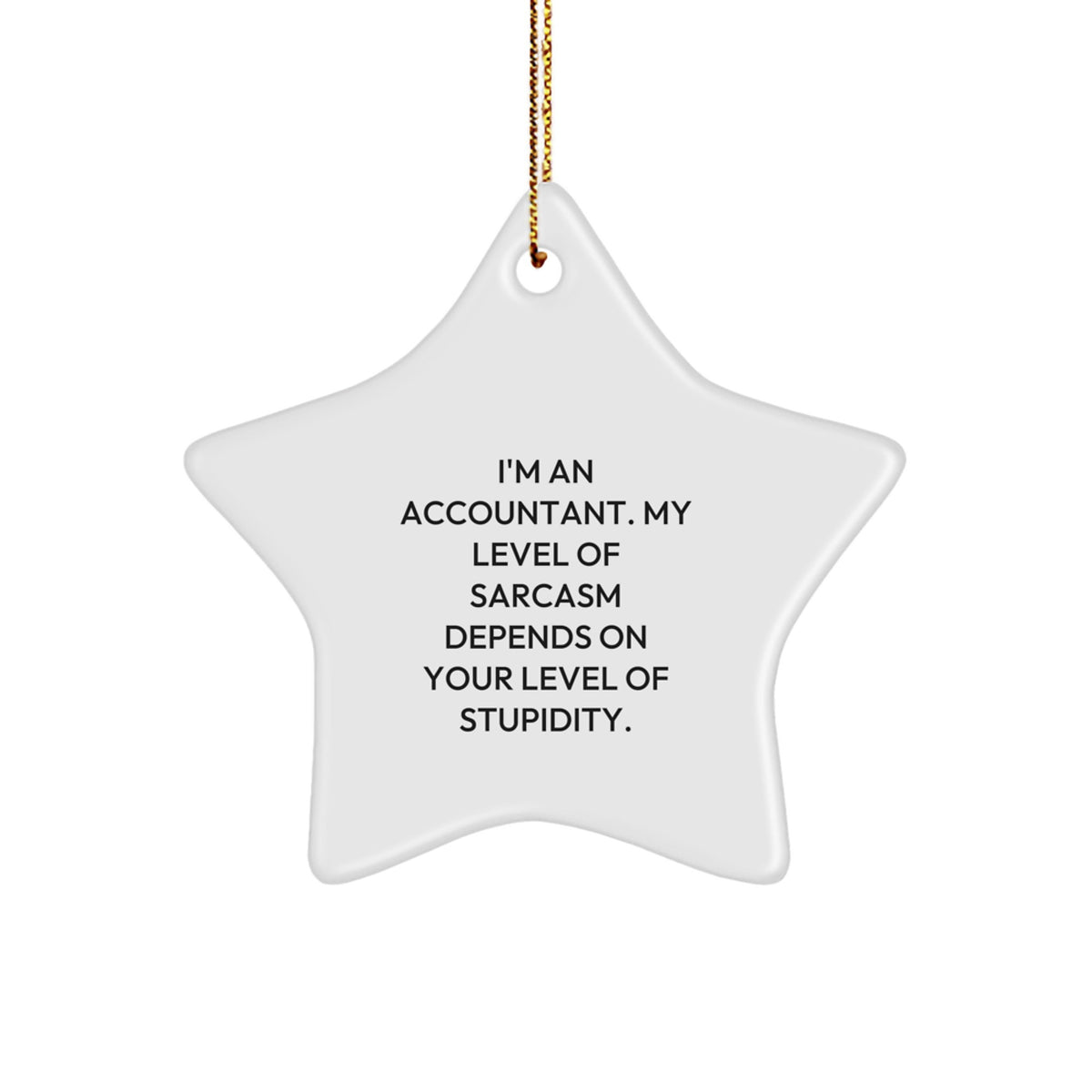 Funny Accountant Gifts from Men, Unique Star Ornament for Accountant Friends at Christmas, Sarcastic Quote Decoration - Image 1