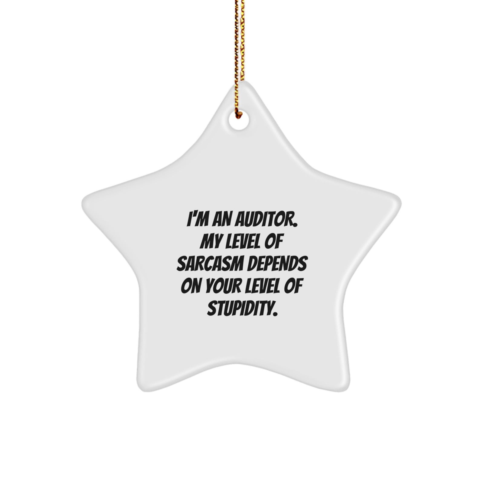 Funny Auditor Gifts, Cute Star Ornament for Auditor, Gifts from Men for Auditor Christmas Unique Gifts - Image 1