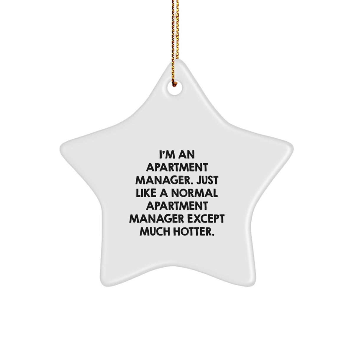 Funny Gifts from Men to Apartment Manager Friends on Christmas Unique Ornaments Star Shape - Image 1