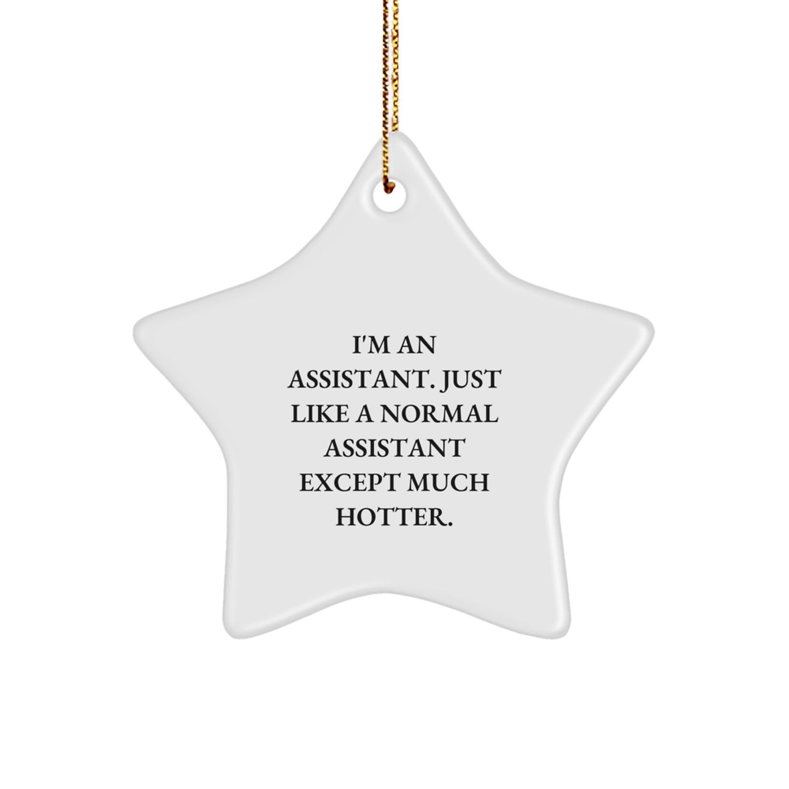 Funny Assistant Gifts from Men, Women, or Friends - Cute Star Ornament for Christmas Unique Gifts - Image 1