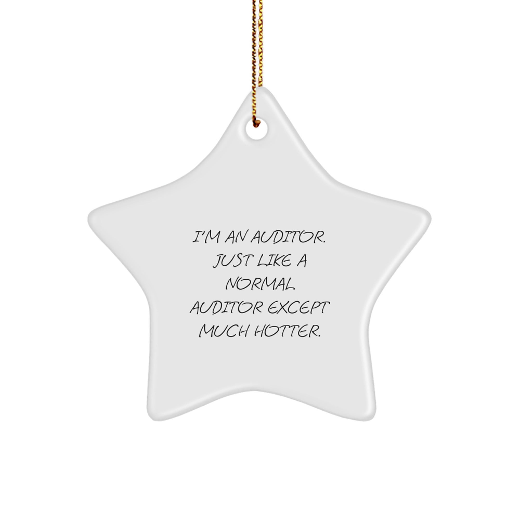 Auditor Gifts from Friends or Family, Funny Star Ornament, Perfect for Christmas Unique Gifts - Image 1