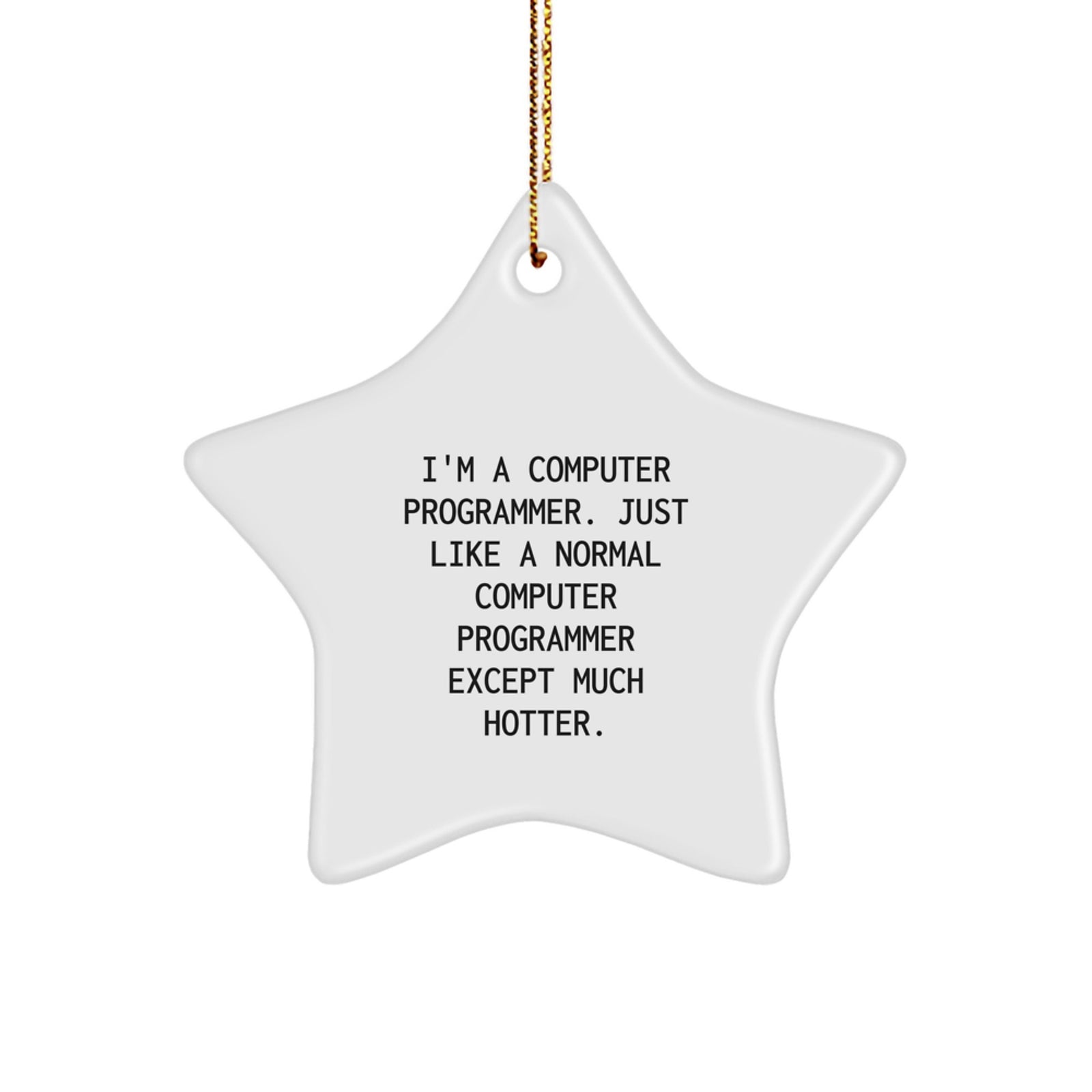 Computer Programmer Star Ornament, Funny Quote Gift for Him, Unique Star Decoration for Christmas, Gifts from Friends to Family for Teenage Boys and Men - Image 1