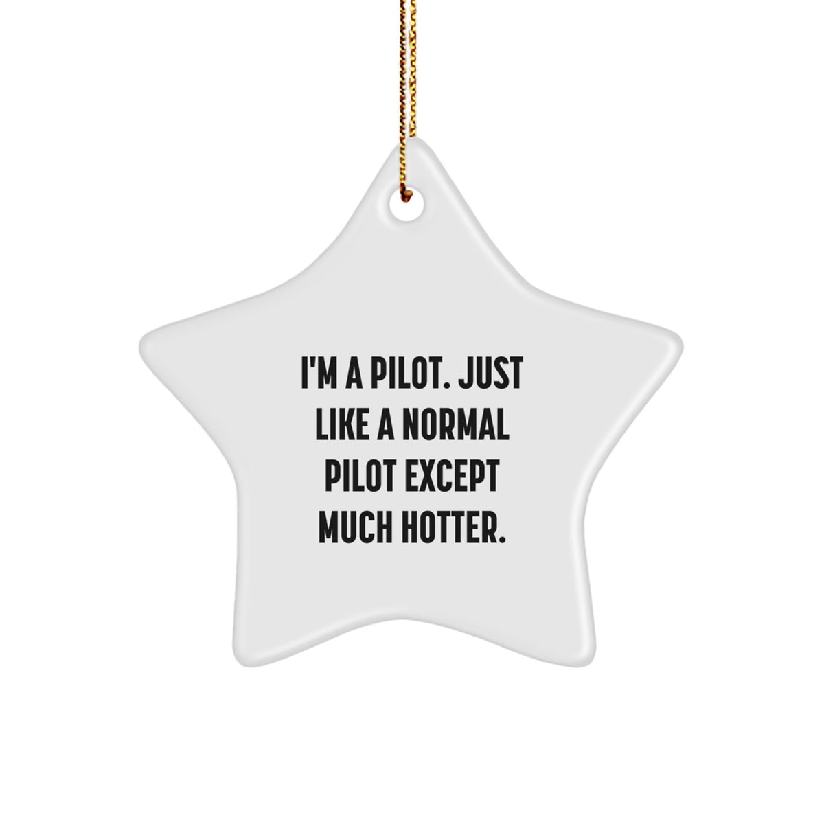 Funny Pilot Gifts from Friends - Christmas Unique Star Ornament for Men, Women, and Fellow Pilots - Pilot Star Decoration - I'm A Pilot. Just Like A Normal Pilot Except Much Hotter. - Image 1