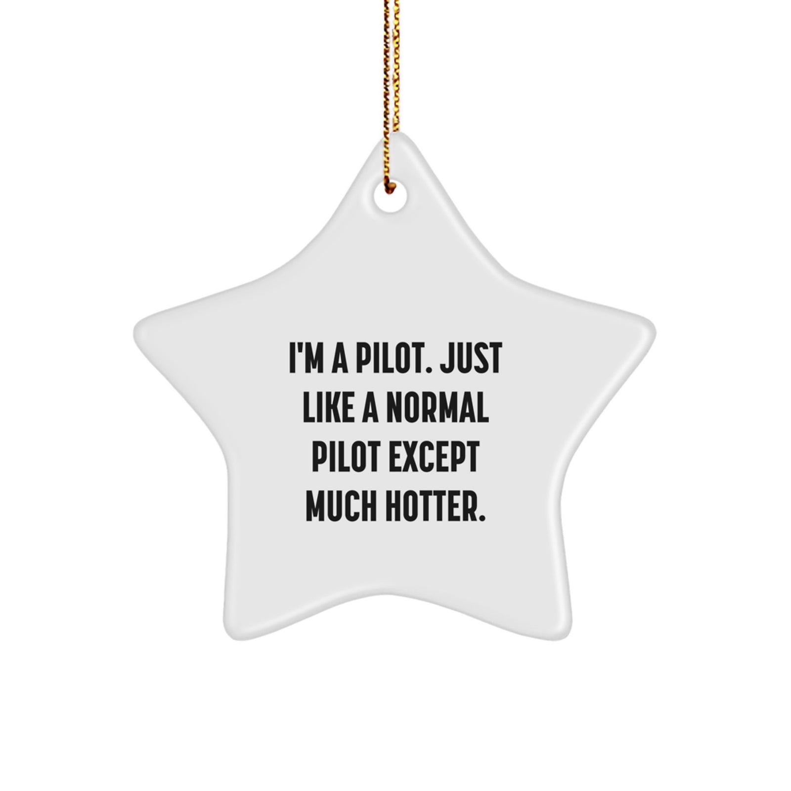 Funny Pilot Gifts from Friends - Christmas Unique Star Ornament for Men, Women, and Fellow Pilots - Pilot Star Decoration - I'm A Pilot. Just Like A Normal Pilot Except Much Hotter. - Image 1