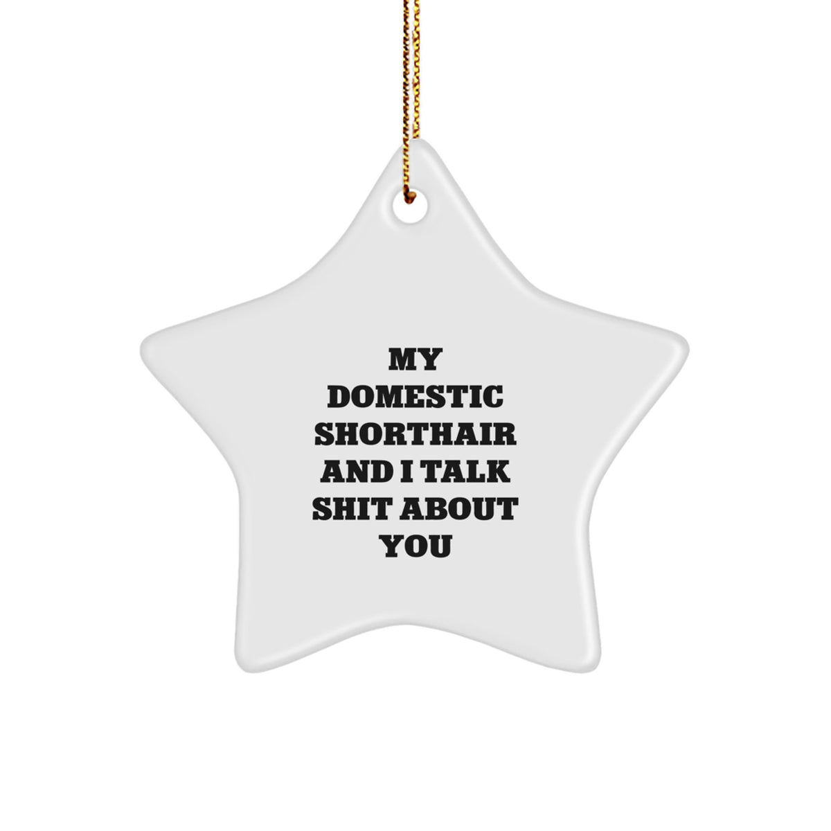 Funny Domestic Shorthair Cat Gifts from Family Christmas Unique Ornaments for Men, Women, Friends, Coworkers, Home Decor, Star Shaped, White, My Domestic Shorthair And I Talk Shit About You - Image 1