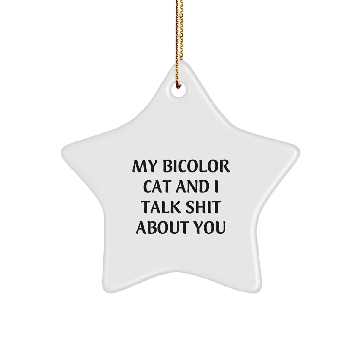 Funny Bicolor Cat Star Ornament Gifts from Men to Women Friends Family - My Bicolor Cat And I Talk Shit About You Christmas Unique Gifts - Image 1
