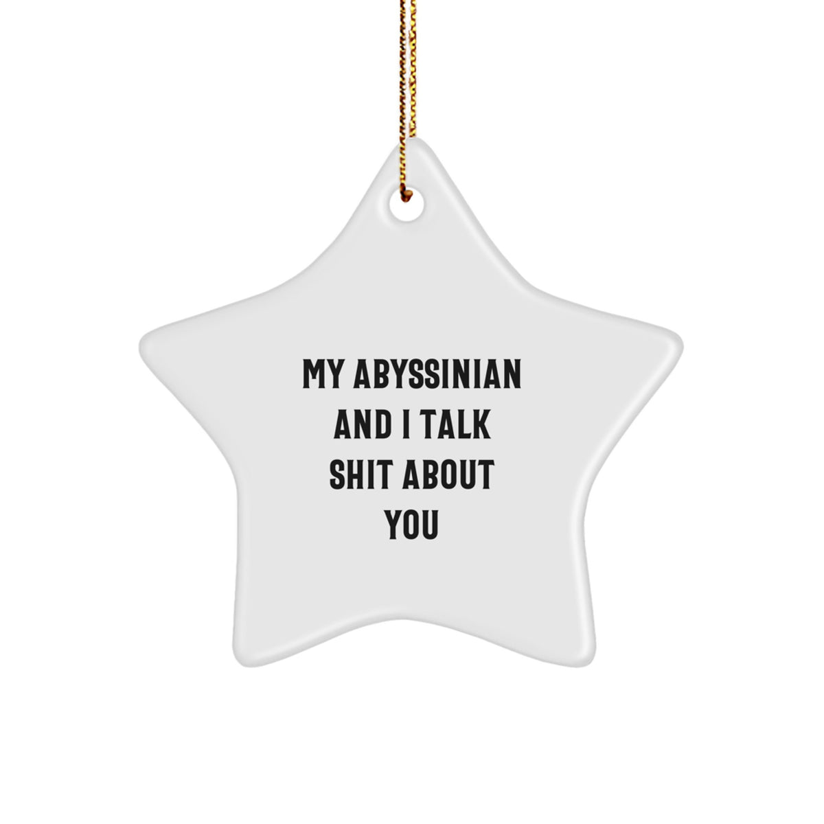 Funny Abyssinian Cat Star Ornaments Gifts from Friends for Christmas - Image 1