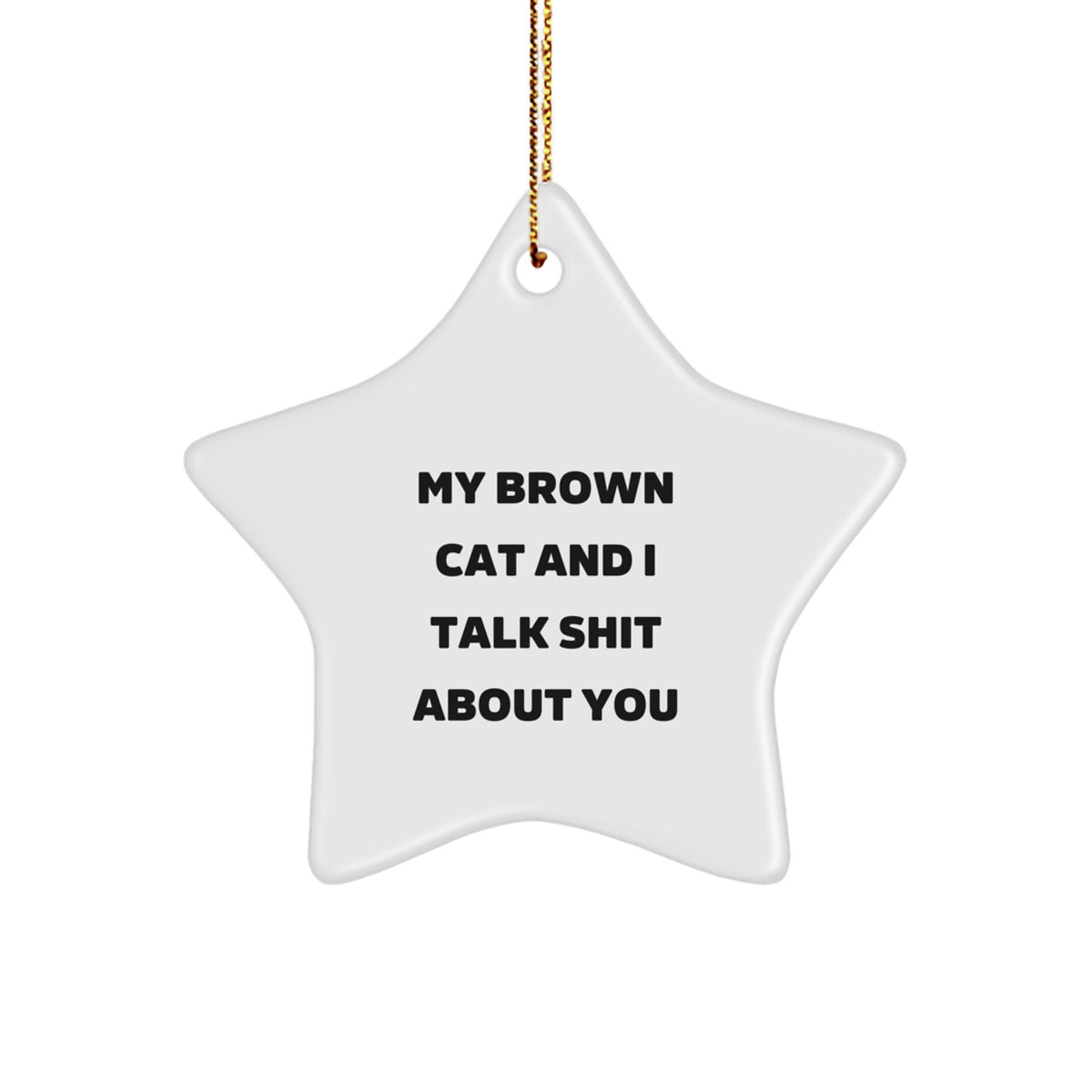Funny Brown Cat Star Ornament Gifts from Men to Friends for Christmas - My Brown Cat And I Talk Shit About You - Image 1