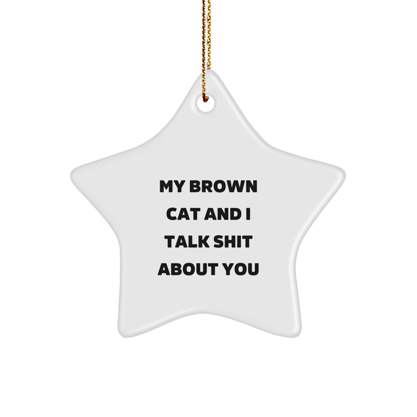 Funny Brown Cat Star Ornament Gifts from Men to Friends for Christmas - My Brown Cat And I Talk Shit About You - Image 1