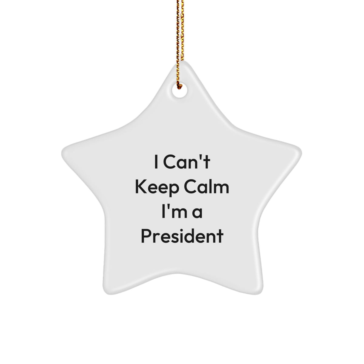 Funny President Gifts I Can&#39;t Keep Calm I&#39;m A President Star Ornament for President, Men, Family, Friends, and Coworkers, Christmas Unique Gifts from Men, Women, Friends, and Family - Image 1